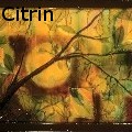 IoneCitrin